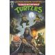 Teenage Mutant Ninja Turtles Saturday Morning Adventures #10 Cover B Ho