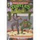 Teenage Mutant Ninja Turtles Saturday Morning Adventures #21