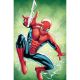 Amazing Spider-Man #1 1:100 Greg Land Virgin Variant
