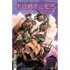 Teenage Mutant Ninja Turtles #8 Cover D Asrar