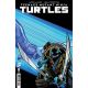 Teenage Mutant Ninja Turtles #8 Cover E Randolph