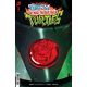 Tales Of The Teenage Mutant Ninja Turtles #3 Cover B Wong