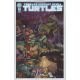 Teenage Mutant Ninja Turtles #14 Cover C Cullum