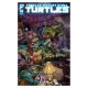 Teenage Mutant Ninja Turtles #14 Cover C Cullum