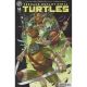 Teenage Mutant Ninja Turtles #14 Cover D Byrne