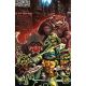 Teenage Mutant Ninja Turtles #14 Cover E 1:25 Eastman & Bishop Full Art