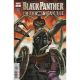 Black Panther Intergalactic #2