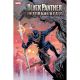 Black Panther Intergalactic #2 1:25 Netho Diaz Variant