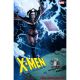 X-Men #24 Joshua Cassara 250Th Homage Variant