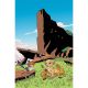Lion King #3 Cover F 1:10 Jacob Edgar Virgin Variant