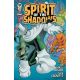 Spirit Of The Shadows #1 Cover D Matt Lesniewski Variant