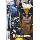Wolverine #40 Arthur Adams 1:25 Variant