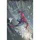 Ultimate Spider-Man #1 David Marquez Virgin 1:100 Variant