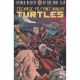 Teenage Mutant Ninja Turtles Untold Destiny Of Foot Clan #2 Cover B Medel