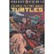 Teenage Mutant Ninja Turtles Untold Destiny Of Foot Clan #2 Cover B Medel