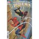 Spectacular Spider-Men #11 Pasqual Ferry Variant