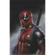 Wade Wilson Deadpool #1 1:100 Adi Granov Virgin Variant