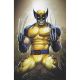 Wolverine #14 1:50 Clayton Crain Virgin Variant