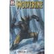 Wolverine #14 Davide Paratore Variant