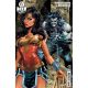 DC K.O. Wonder Woman Vs #1 Cover B Dan Panosian Card Stock Variant