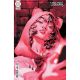 Cheetah And Cheshire Rob The Justice League #5 Cover B Gerald Parel Card Stock Variant