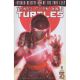 Teenage Mutant Ninja Turtles Untold Destiny Of Foot Clan #1