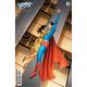 Superman 78 The Metal Curtain #2 Cover C Max Dunbar 1:25 Variant