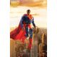 Batman Superman Worlds Finest #21 Cover D Mcfarlane Toys Action Figure Variant