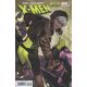 Uncanny X-Men #6 Adam Hughes Rogue Variant