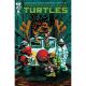 Teenage Mutant Ninja Turtles #5 Cover D Gonzo