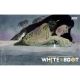 White Boat #3 Cover C Patrick Horvath 1:5 Variant