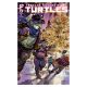 Teenage Mutant Ninja Turtles #13 Cover C Cullum