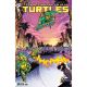 Teenage Mutant Ninja Turtles #13 Cover E Johnson