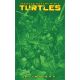 Teenage Mutant Ninja Turtles #13 Cover F Blind Bag