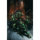 Teenage Mutant Ninja Turtles #13 Cover H 1:50 Crain Full Art