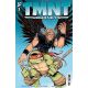 Teenage Mutant Ninja Turtles Journeys #3 Cover B Talbot
