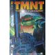 Teenage Mutant Ninja Turtles Journeys #3 Cover C 1:10 Foil Dooney & Lawson