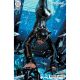 Catwoman #81 Cover C Derrick Chew Card Stock Variant
