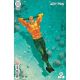 Aquaman #11 Cover D Ozgur Yildirim Card Stock Variant