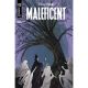 Disney Villains Maleficent #2 Cover D Theo Stultz Variant