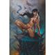 Vampirella #9 Cover L 1:20 Lucio Parrillo Virgin Variant