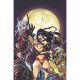 Pathfinder Vampirella Blade Of Darkness #2 Cover D Andrew Huerta Metal Premium Variant